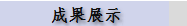 成果展示