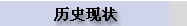 历史现状